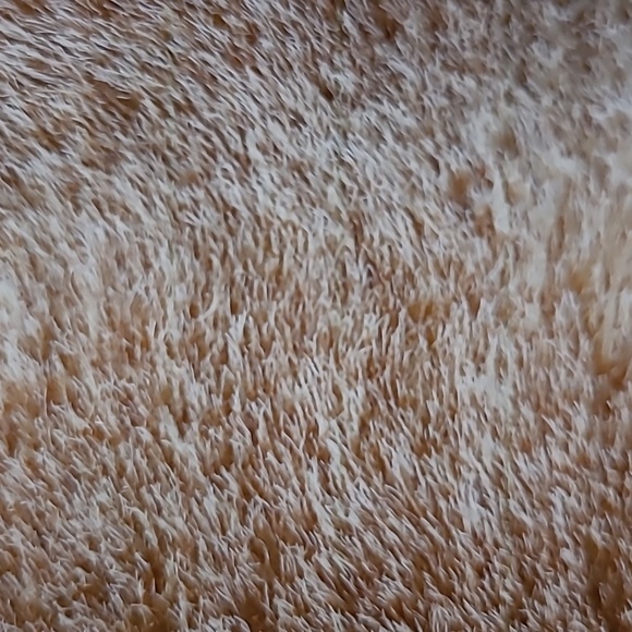 DONA MICHI LEATHER JACKET - Picture 7 of 9